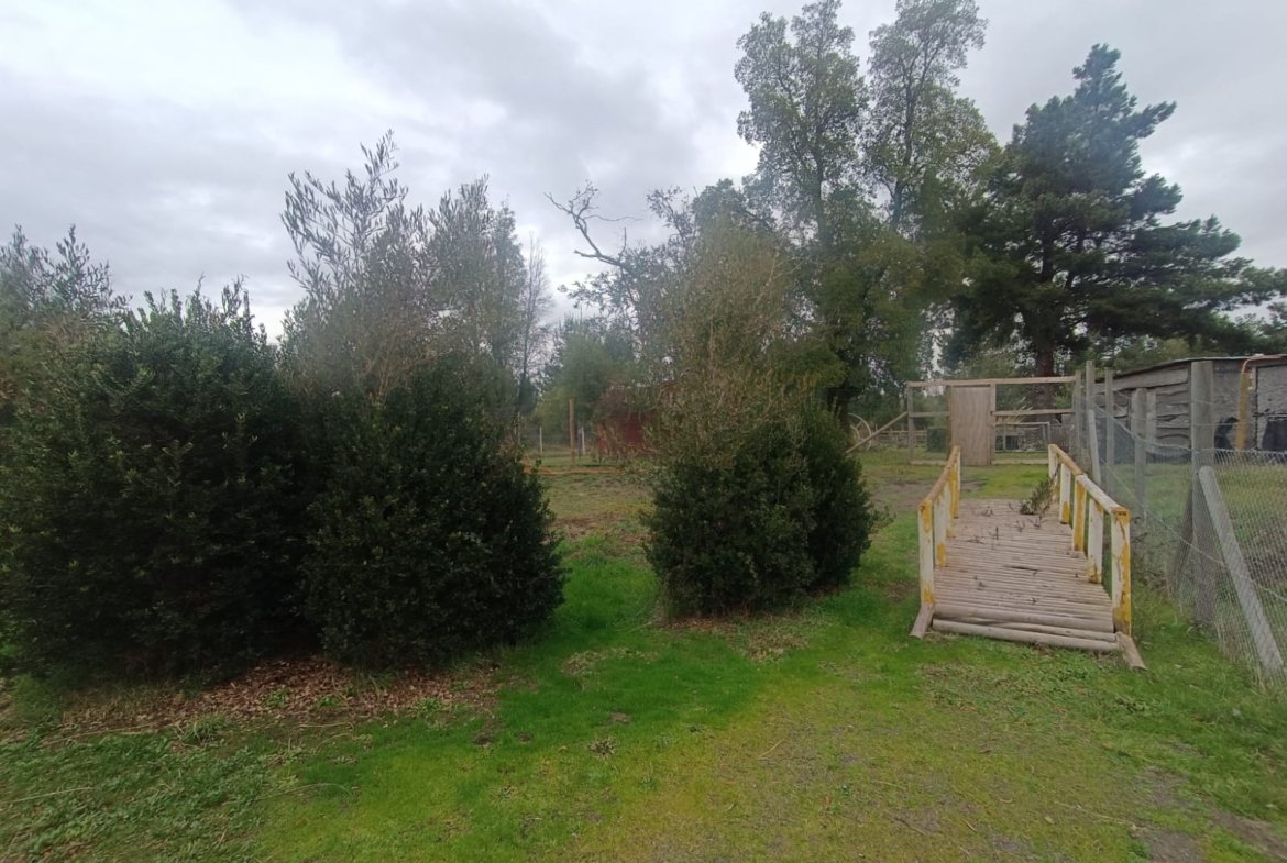 SE VENDE CAMPO DE 2,7 HECTÁREAS CAMINO A SANTA BÁRBARA