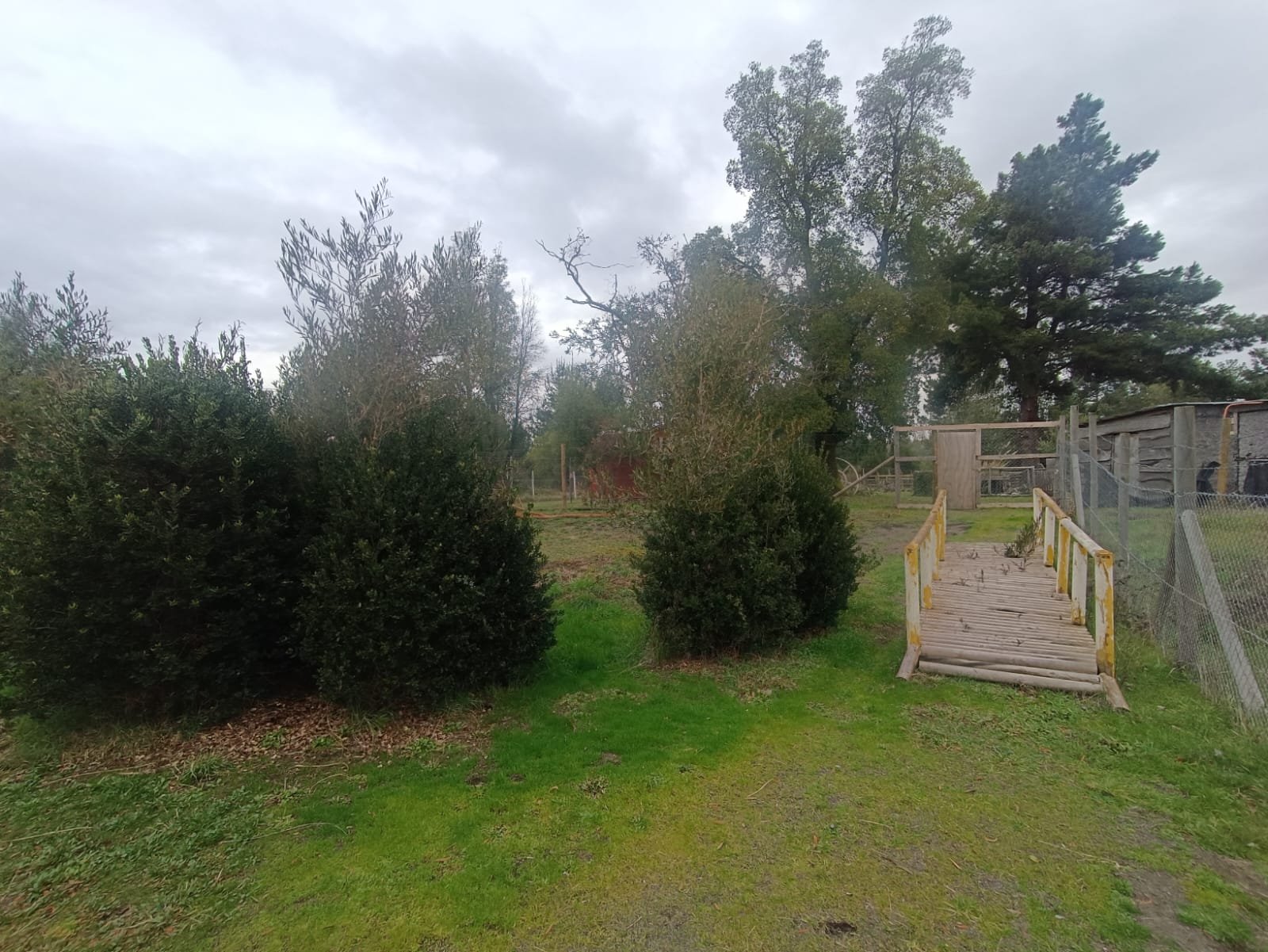 SE VENDE CAMPO DE 2,7 HECTÁREAS CAMINO A SANTA BÁRBARA