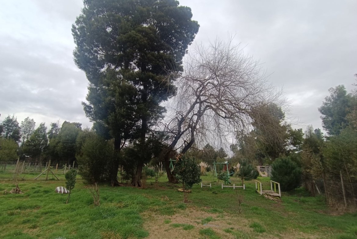 SE VENDE CAMPO DE 2,7 HECTÁREAS CAMINO A SANTA BÁRBARA