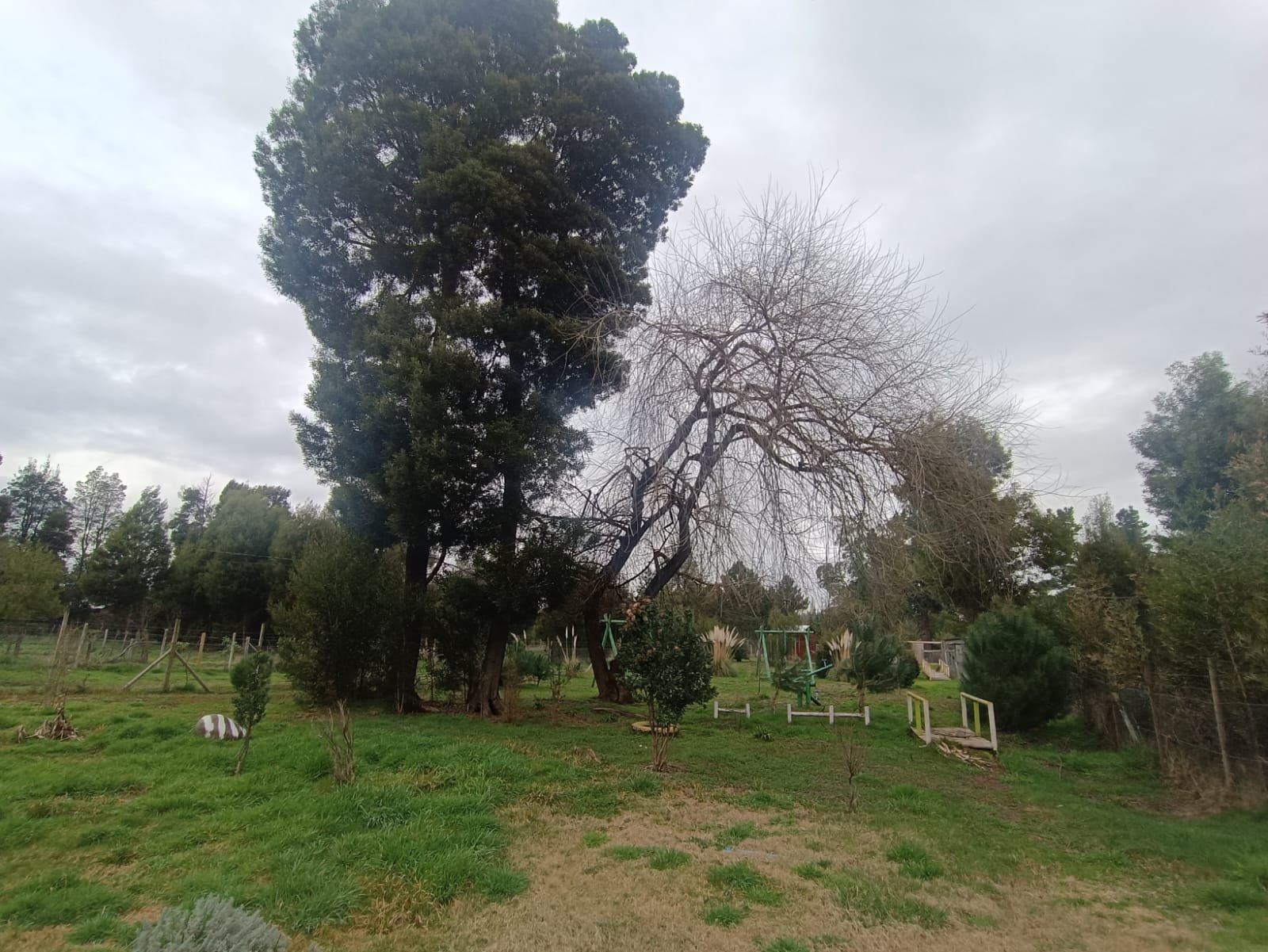 SE VENDE CAMPO DE 2,7 HECTÁREAS CAMINO A SANTA BÁRBARA