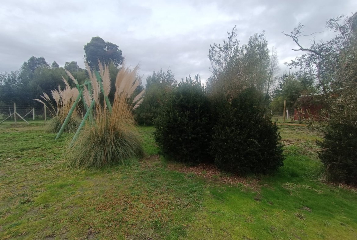 SE VENDE CAMPO DE 2,7 HECTÁREAS CAMINO A SANTA BÁRBARA
