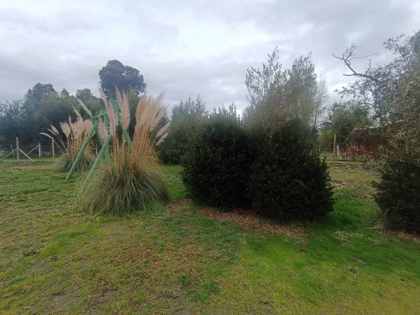 SE VENDE CAMPO DE 2,7 HECTÁREAS CAMINO A SANTA BÁRBARA