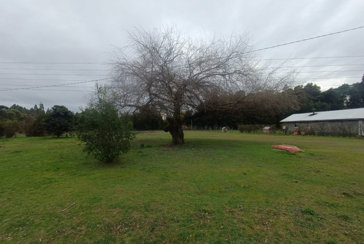 SE VENDE CAMPO DE 2,7 HECTÁREAS CAMINO A SANTA BÁRBARA