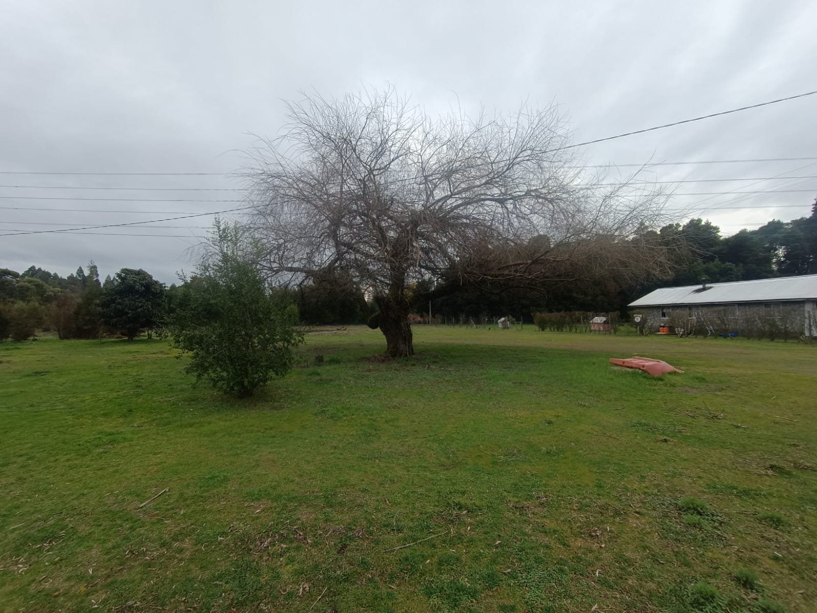 SE VENDE CAMPO DE 2,7 HECTÁREAS CAMINO A SANTA BÁRBARA