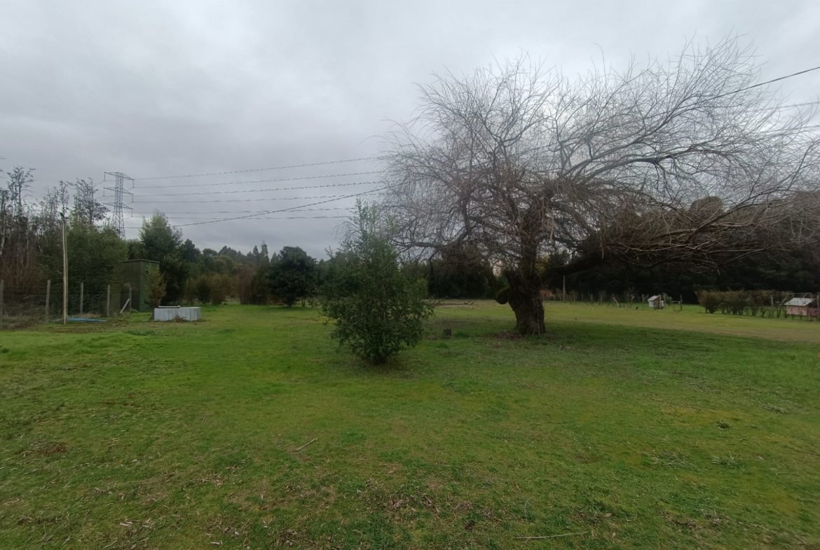 SE VENDE CAMPO DE 2,7 HECTÁREAS CAMINO A SANTA BÁRBARA