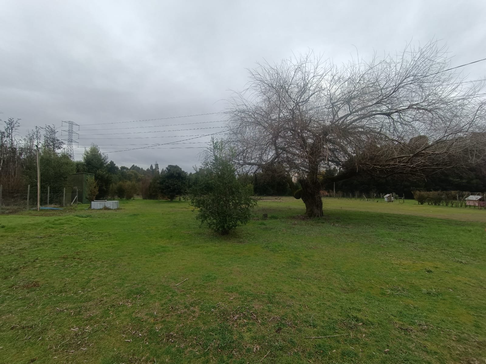 SE VENDE CAMPO DE 2,7 HECTÁREAS CAMINO A SANTA BÁRBARA