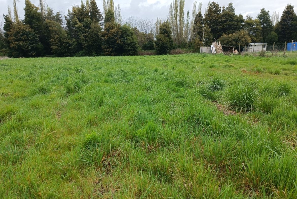 VENDE PARCELA ORILLA DE CARRETERA A 4 KILOMETROS DE LOS ÁNGELES