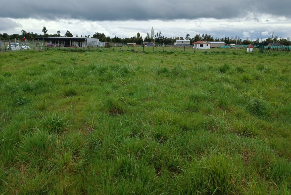 VENDE PARCELA ORILLA DE CARRETERA A 4 KILOMETROS DE LOS ÁNGELES