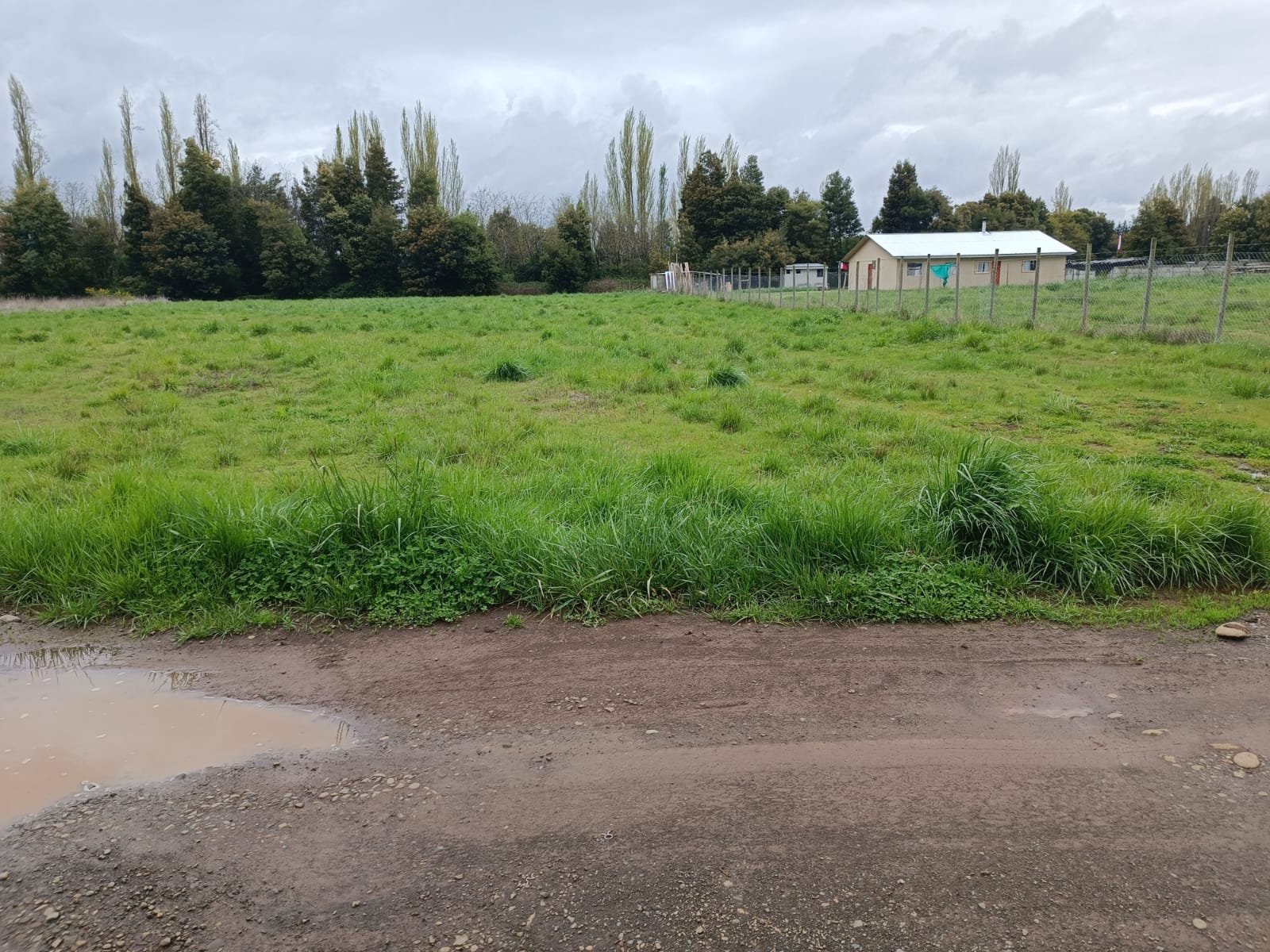 Imagen de WhatsApp 2024-09-30 a las 19.43.46_3c709969 VENDE PARCELA ORILLA DE CARRETERA A 4 KILOMETROS DE LOS ÁNGELES