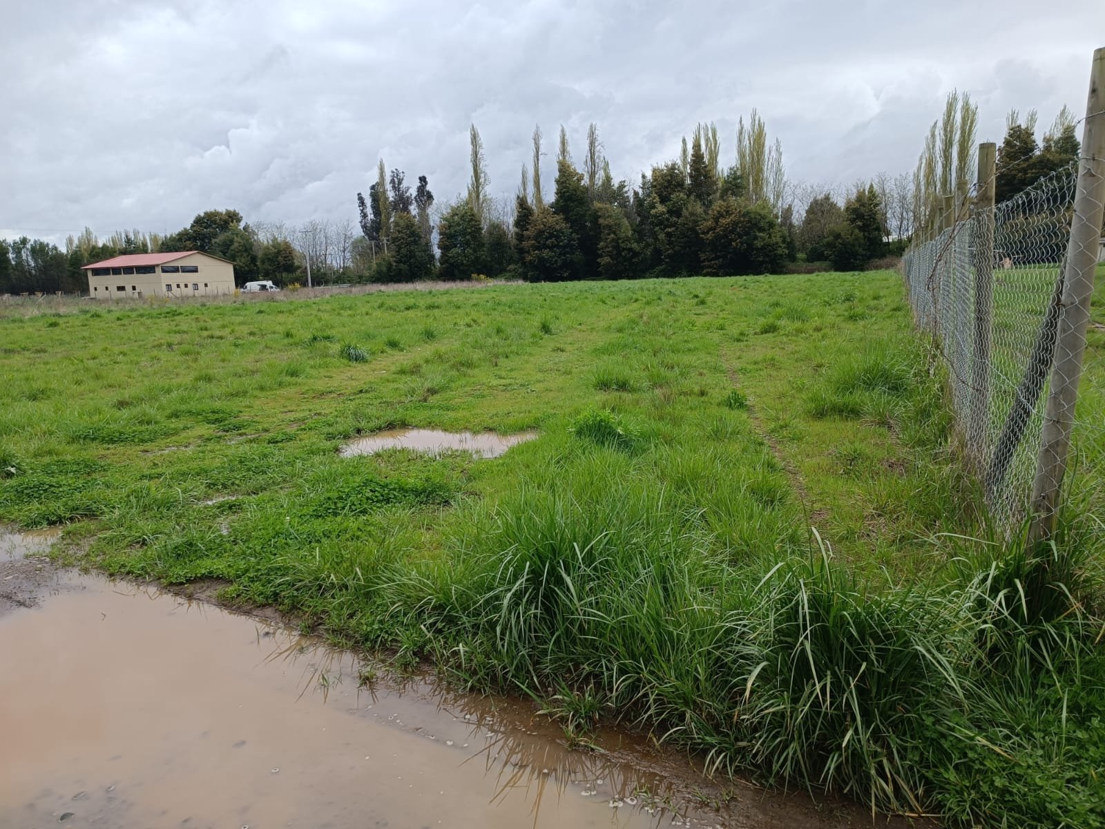 Imagen de WhatsApp 2024-09-30 a las 19.43.47_356bb916 VENDE PARCELA ORILLA DE CARRETERA A 4 KILOMETROS DE LOS ÁNGELES