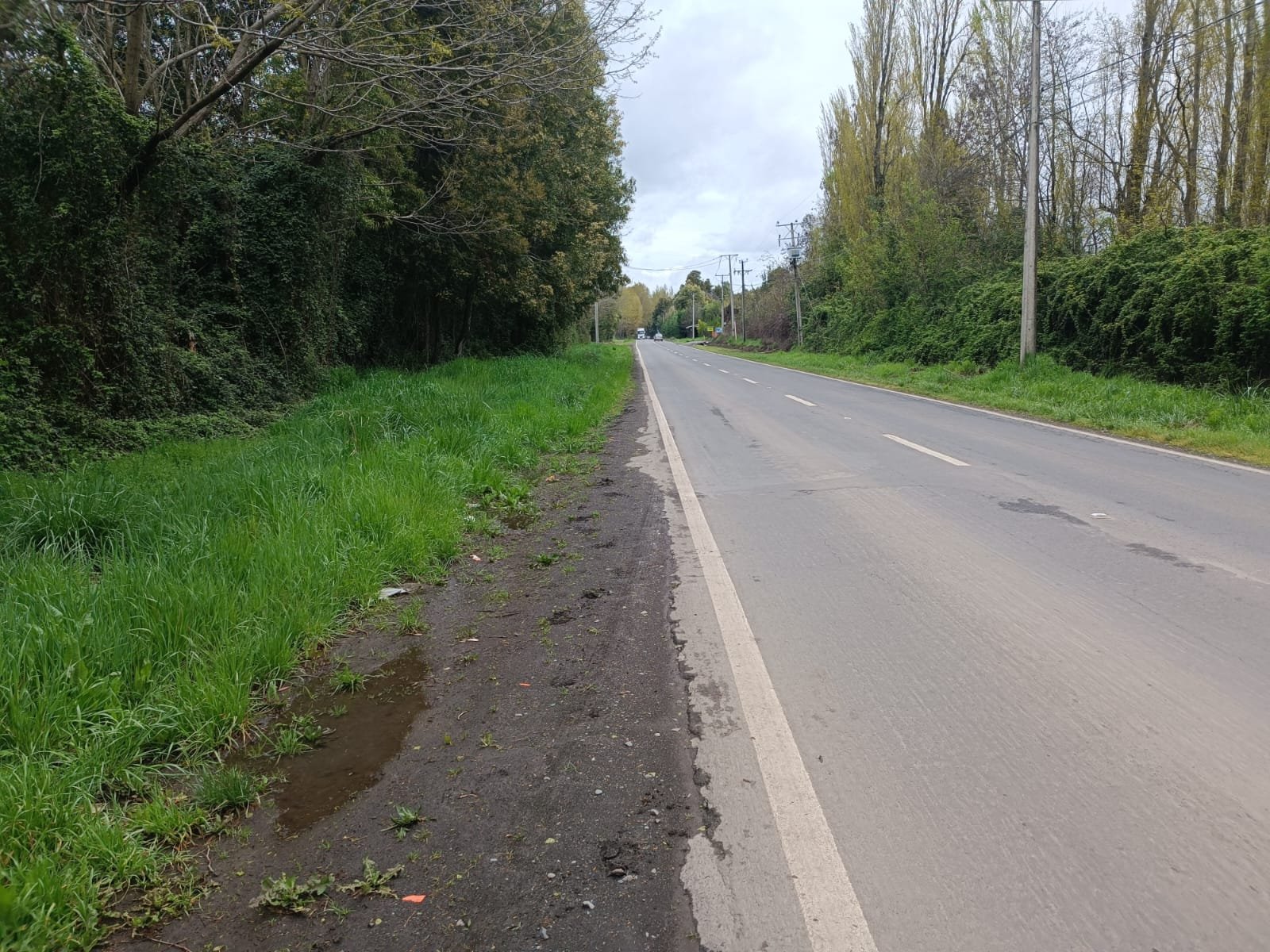 Imagen de WhatsApp 2024-09-30 a las 19.43.48_42143619 VENDE PARCELA ORILLA DE CARRETERA A 4 KILOMETROS DE LOS ÁNGELES