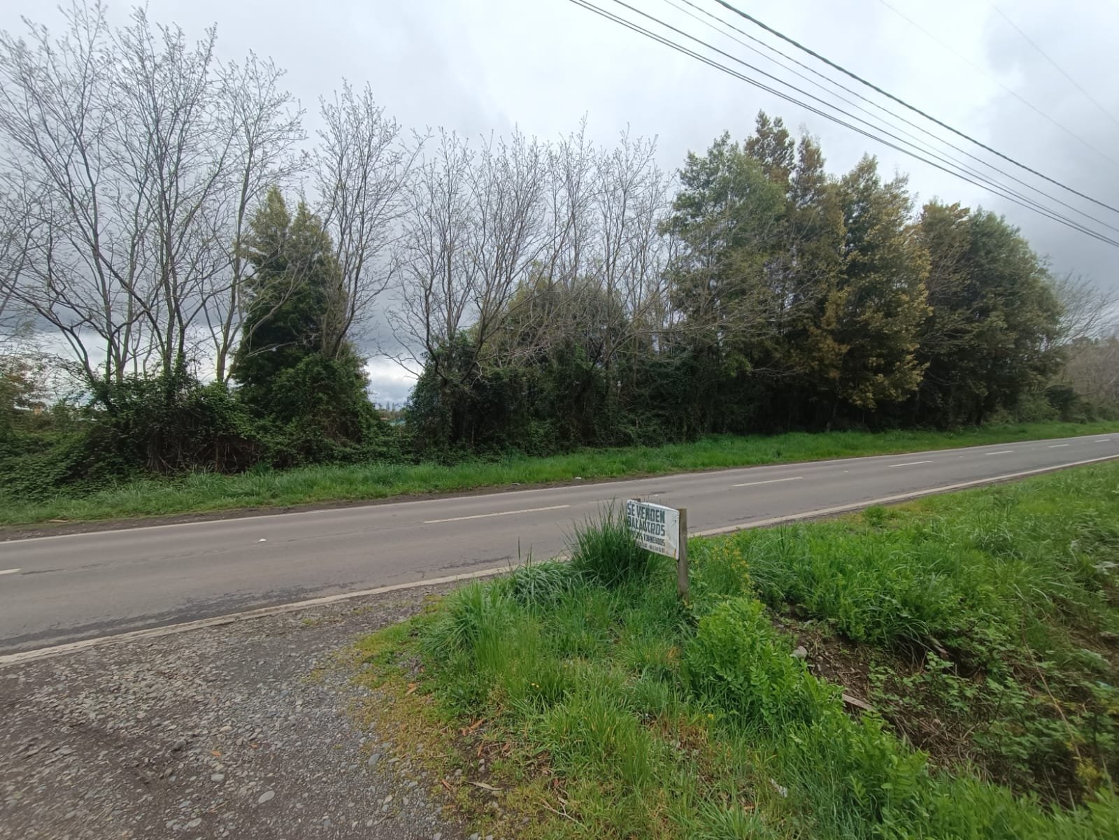 Imagen de WhatsApp 2024-09-30 a las 19.43.48_5c69264d – copia VENDE PARCELA ORILLA DE CARRETERA A 4 KILOMETROS DE LOS ÁNGELES