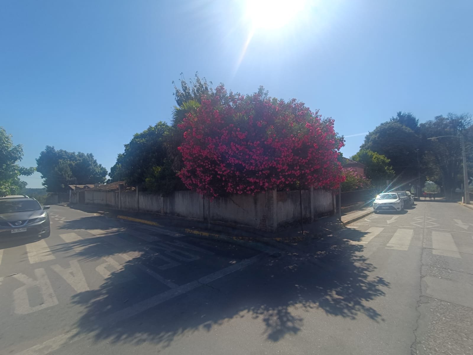 SE VENDE PROPIEDAD 1300 M2 EN CENTRO DE NACIMIENTO