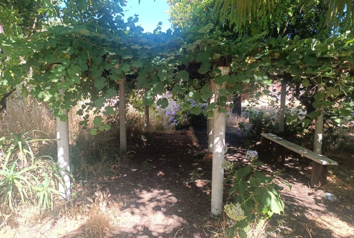 SE VENDE PROPIEDAD 1300 M2 EN CENTRO DE NACIMIENTO