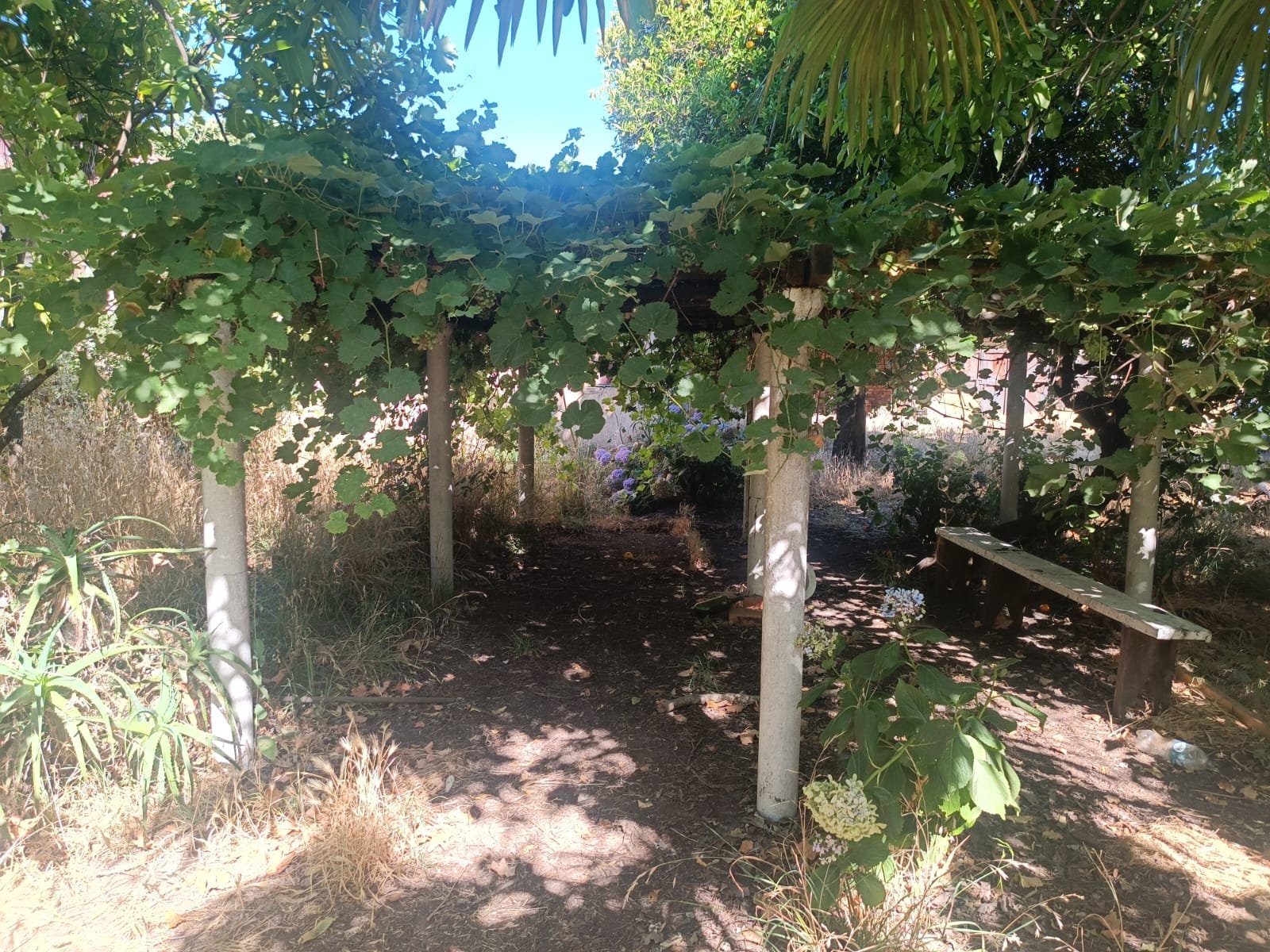 SE VENDE PROPIEDAD 1300 M2 EN CENTRO DE NACIMIENTO