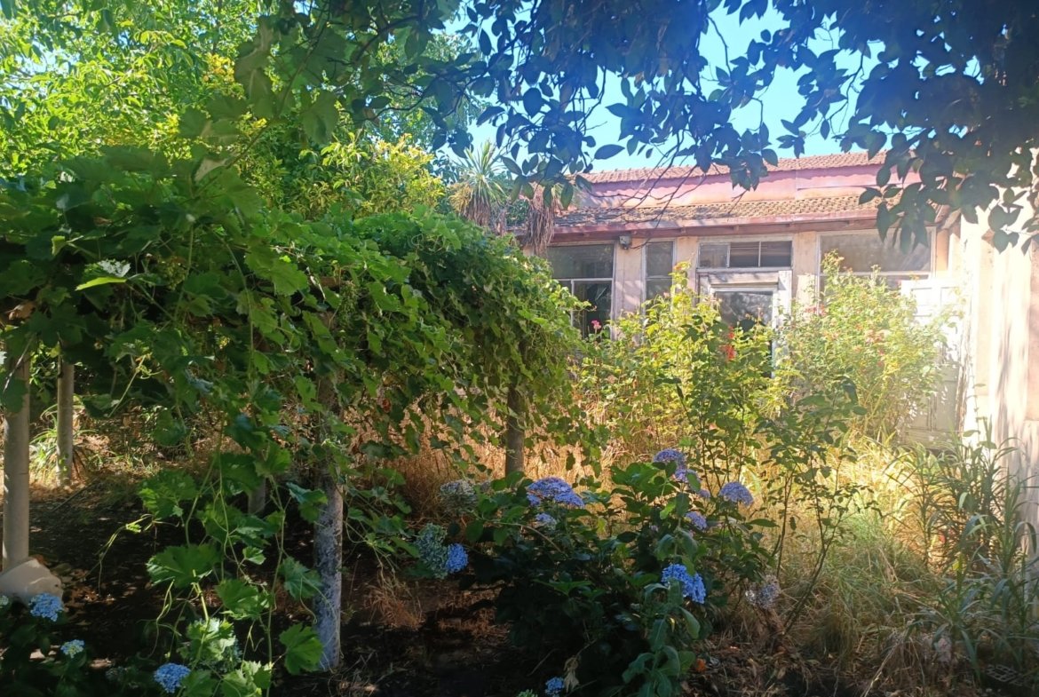 SE VENDE PROPIEDAD 1300 M2 EN CENTRO DE NACIMIENTO