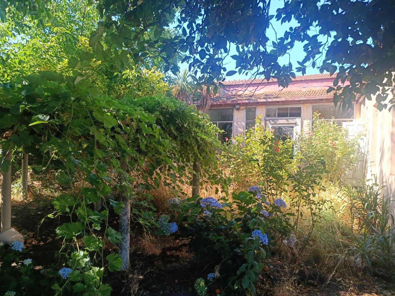 SE VENDE PROPIEDAD 1300 M2 EN CENTRO DE NACIMIENTO