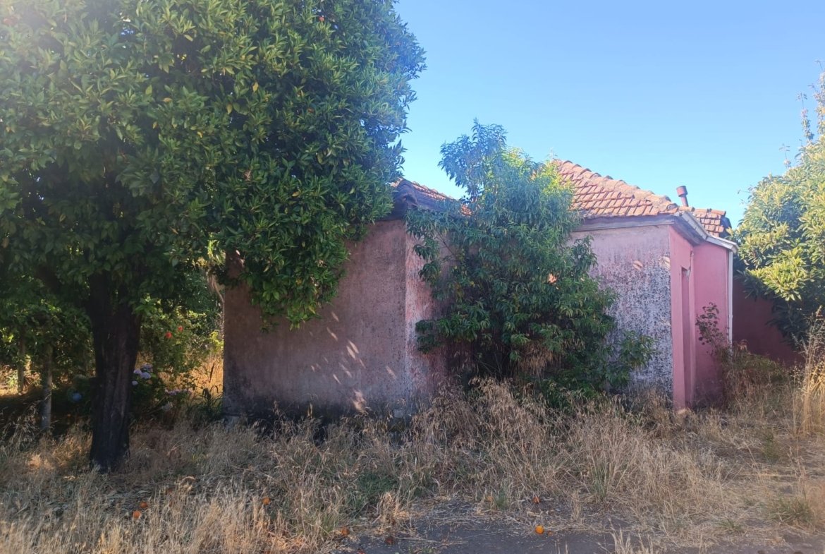 SE VENDE PROPIEDAD 1300 M2 EN CENTRO DE NACIMIENTO