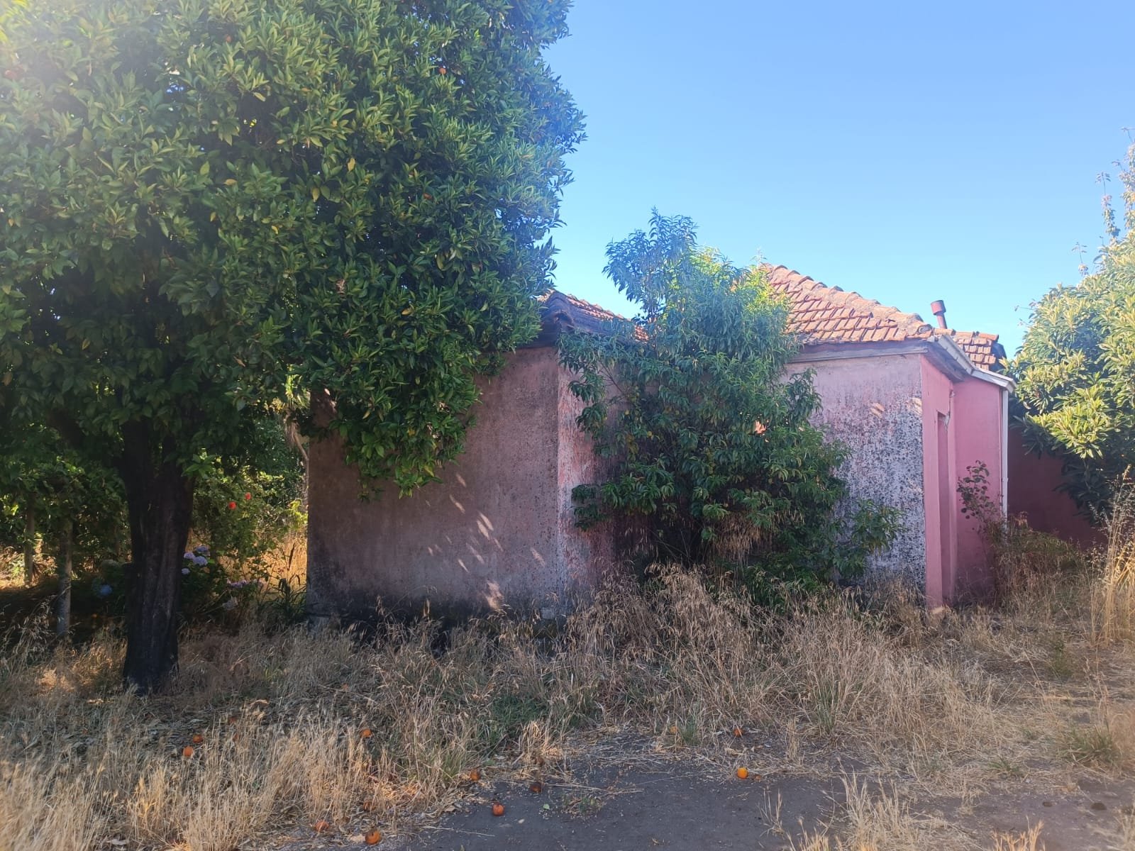 SE VENDE PROPIEDAD 1300 M2 EN CENTRO DE NACIMIENTO