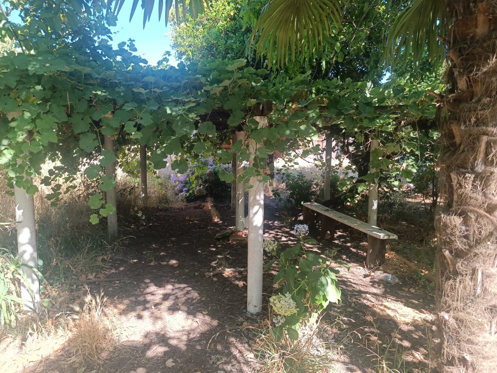 SE VENDE PROPIEDAD 1300 M2 EN CENTRO DE NACIMIENTO