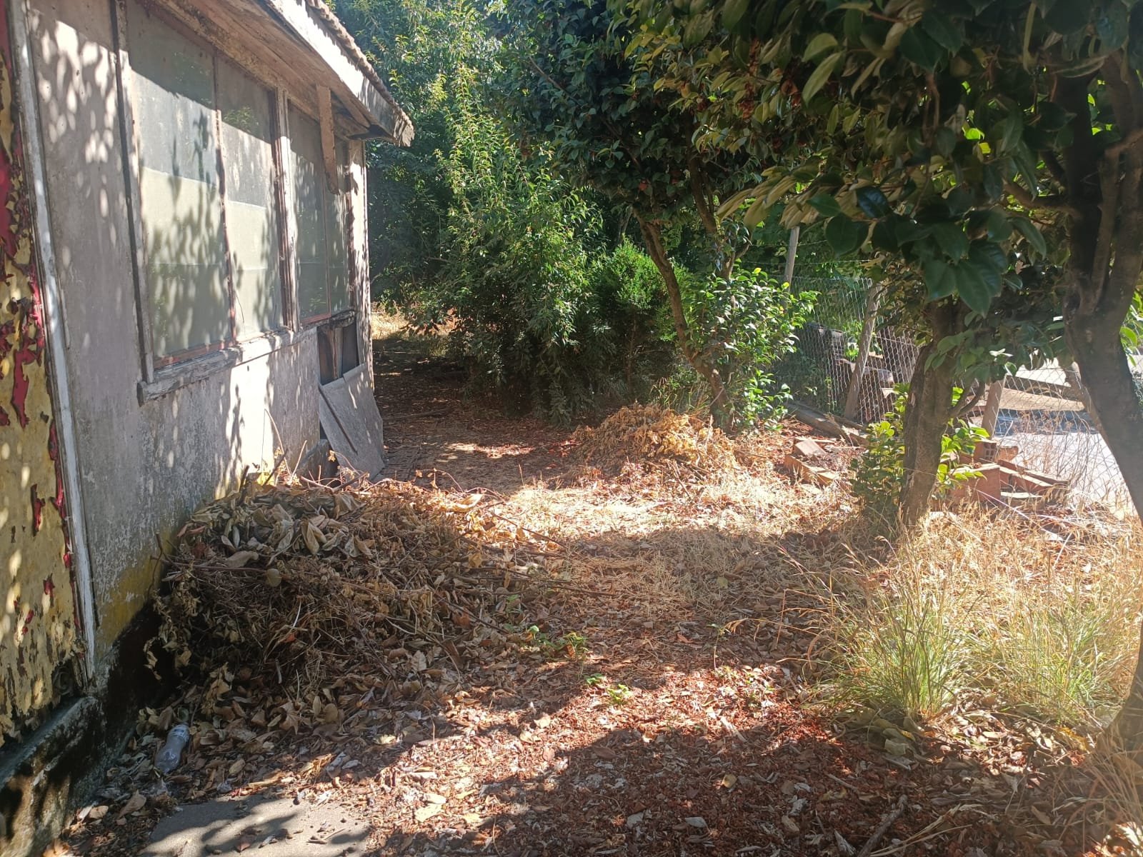 SE VENDE PROPIEDAD 1300 M2 EN CENTRO DE NACIMIENTO
