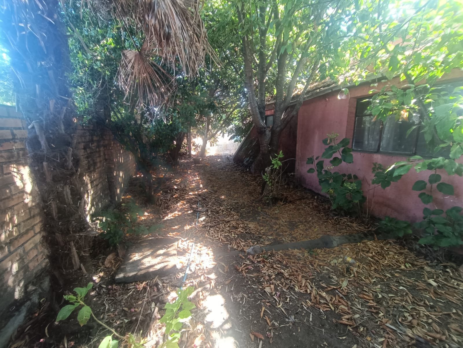 SE VENDE PROPIEDAD 1300 M2 EN CENTRO DE NACIMIENTO