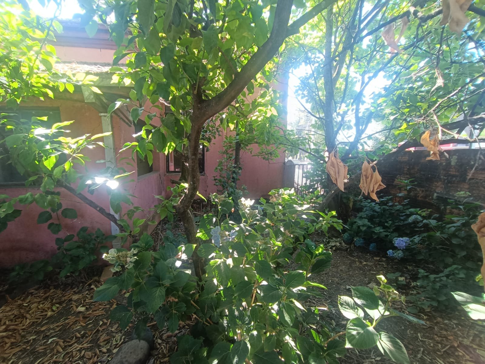 SE VENDE PROPIEDAD 1300 M2 EN CENTRO DE NACIMIENTO