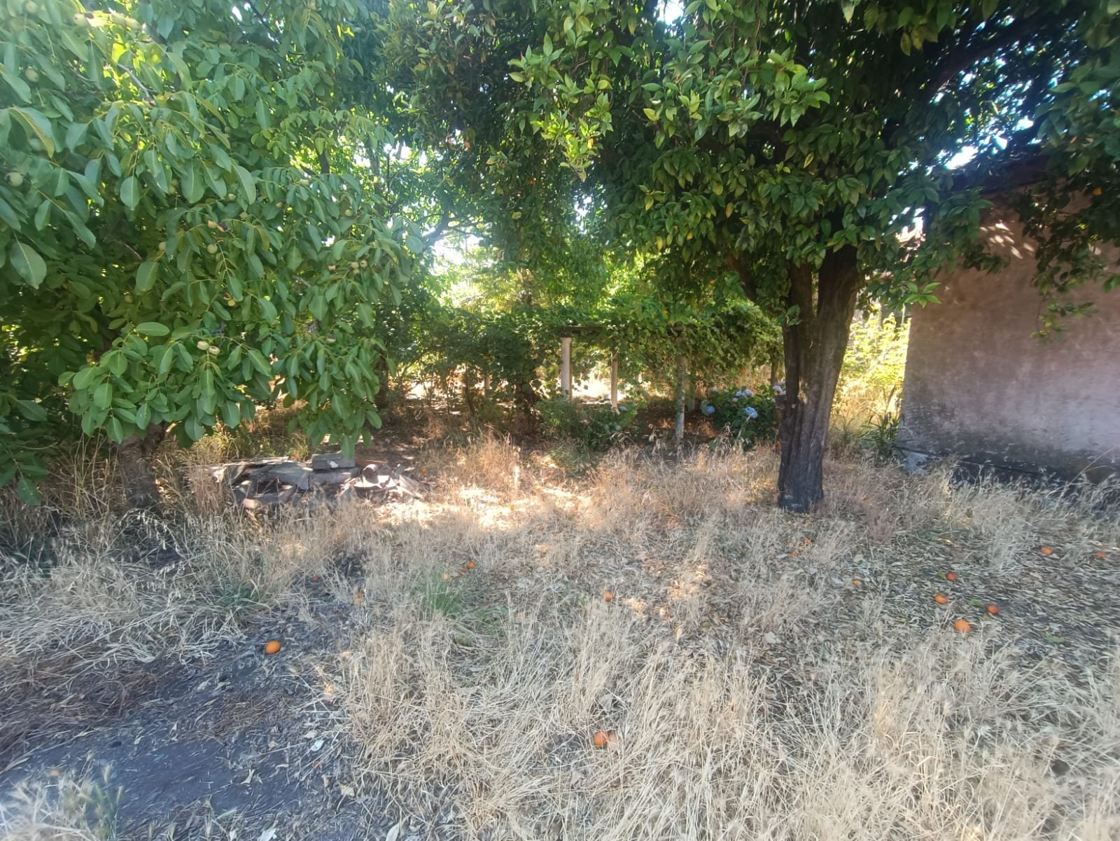 SE VENDE PROPIEDAD 1300 M2 EN CENTRO DE NACIMIENTO
