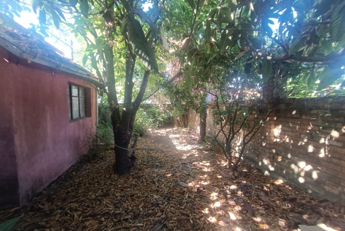 SE VENDE PROPIEDAD 1300 M2 EN CENTRO DE NACIMIENTO