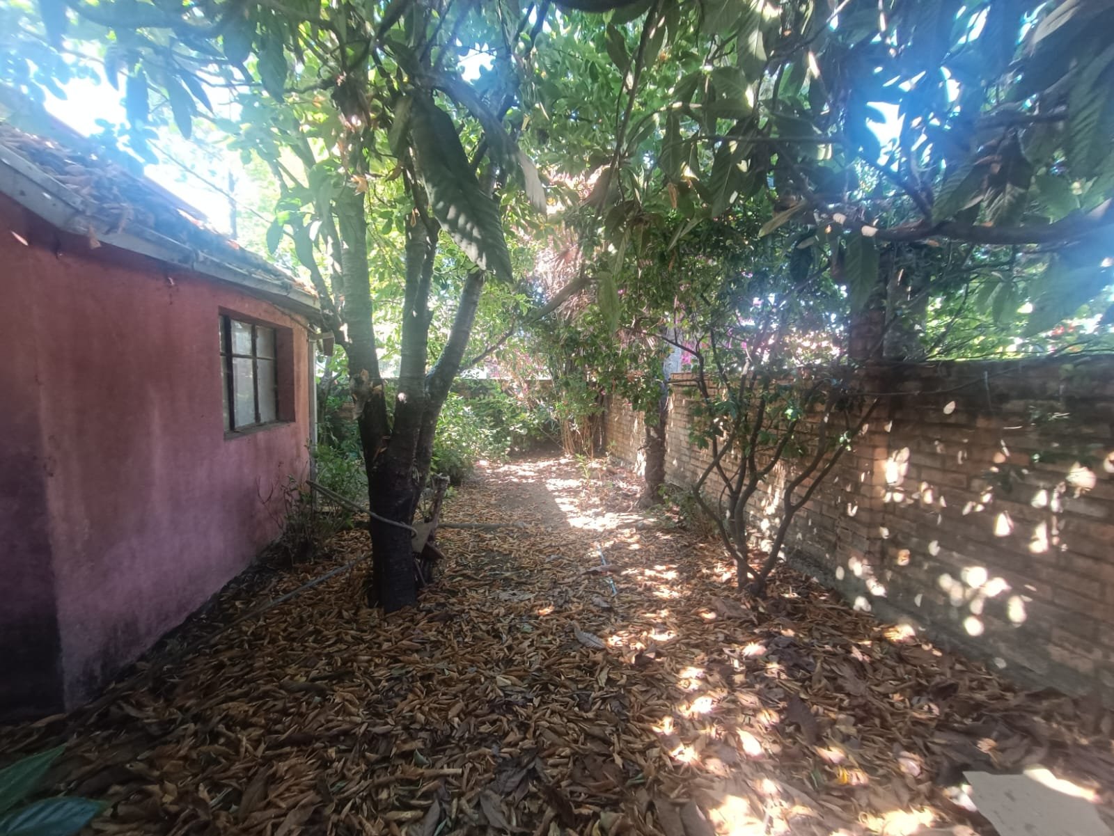 SE VENDE PROPIEDAD 1300 M2 EN CENTRO DE NACIMIENTO