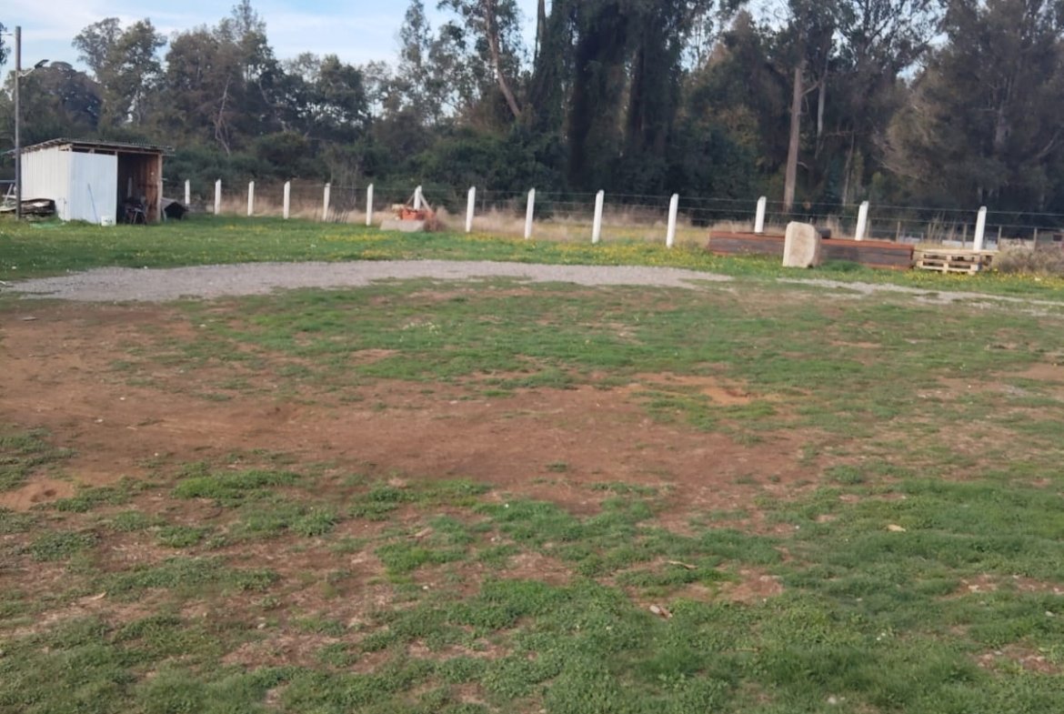 SE VENDE PARCELA PITRUFQUÉN CON CASA Y DOS CABAÑAS REGULARIZADAS
