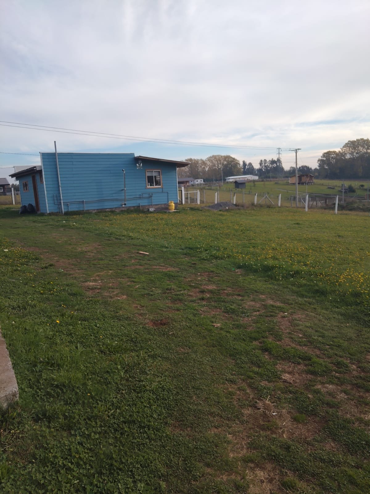 SE VENDE PARCELA PITRUFQUÉN CON CASA Y DOS CABAÑAS REGULARIZADAS