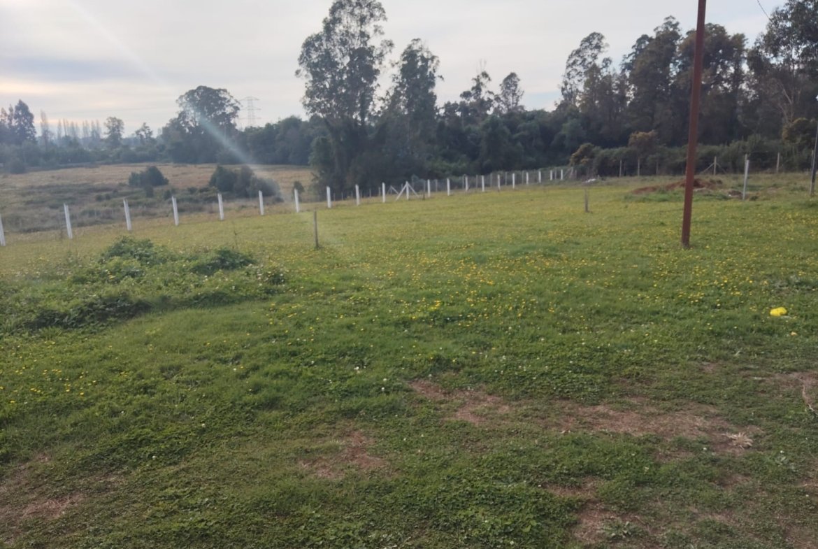 SE VENDE PARCELA PITRUFQUÉN CON CASA Y DOS CABAÑAS REGULARIZADAS