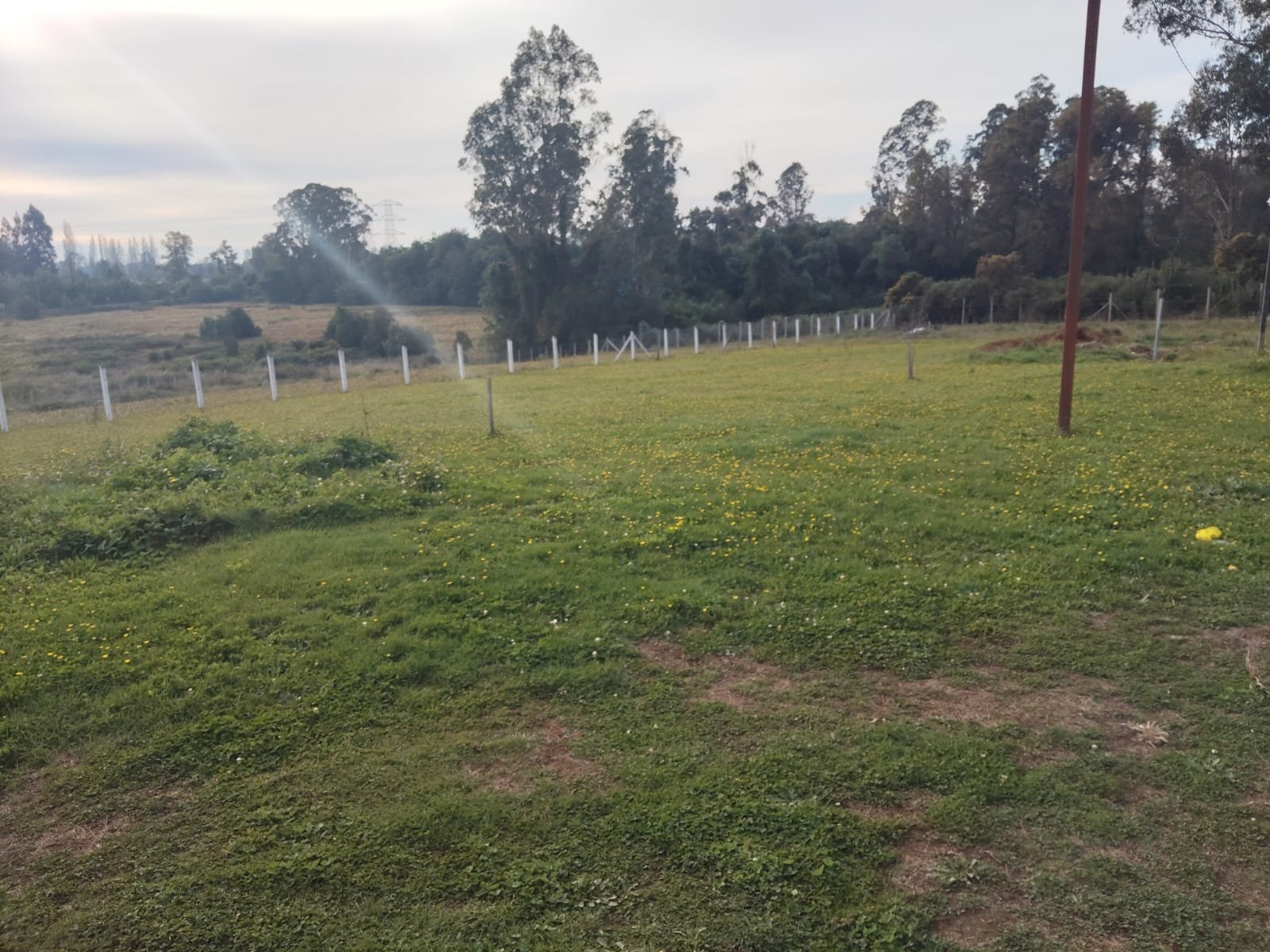 SE VENDE PARCELA PITRUFQUÉN CON CASA Y DOS CABAÑAS REGULARIZADAS