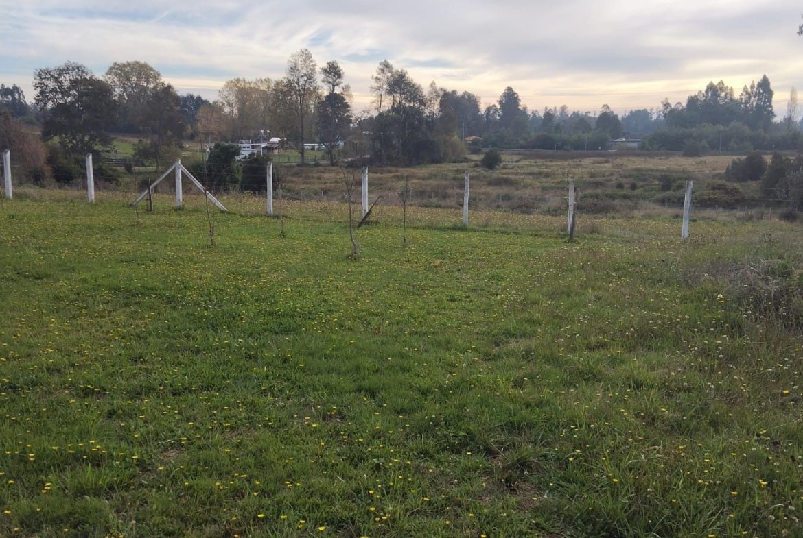 SE VENDE PARCELA PITRUFQUÉN CON CASA Y DOS CABAÑAS REGULARIZADAS