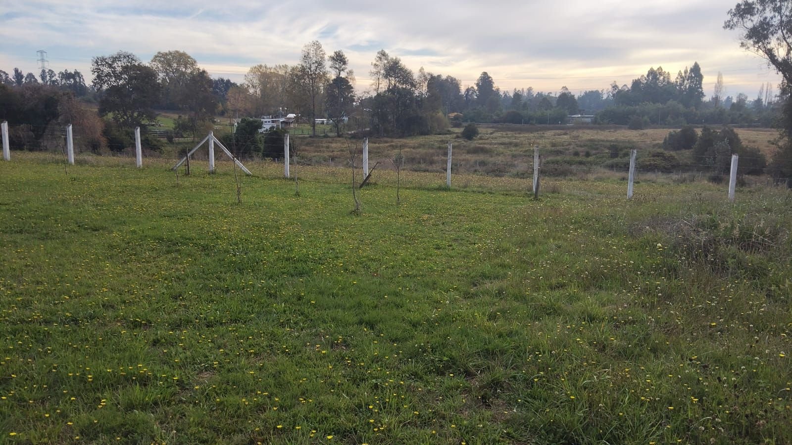 SE VENDE PARCELA PITRUFQUÉN CON CASA Y DOS CABAÑAS REGULARIZADAS