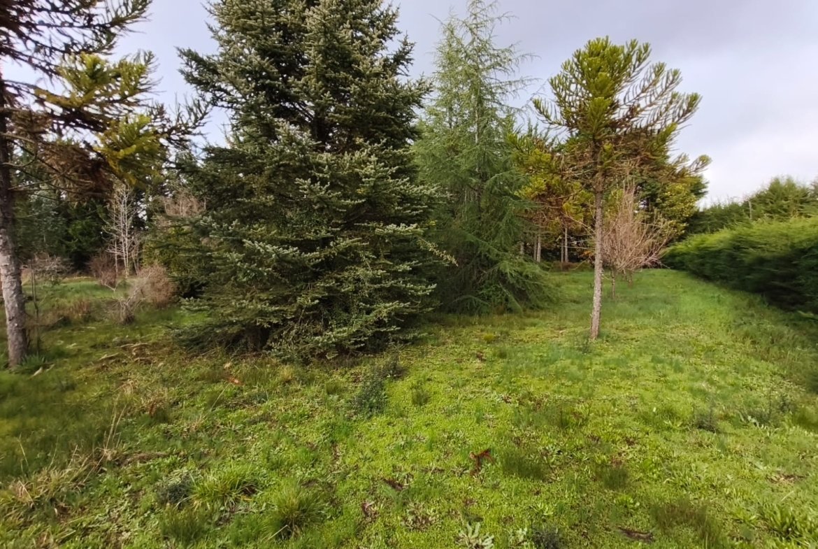 SE VENDE HERMOSA PARCELA CON CASA COUNTRY SANTA ELIANA LOS ÁNGELES